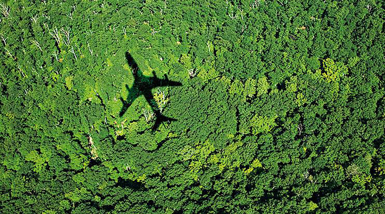 shadow of plane over green forest